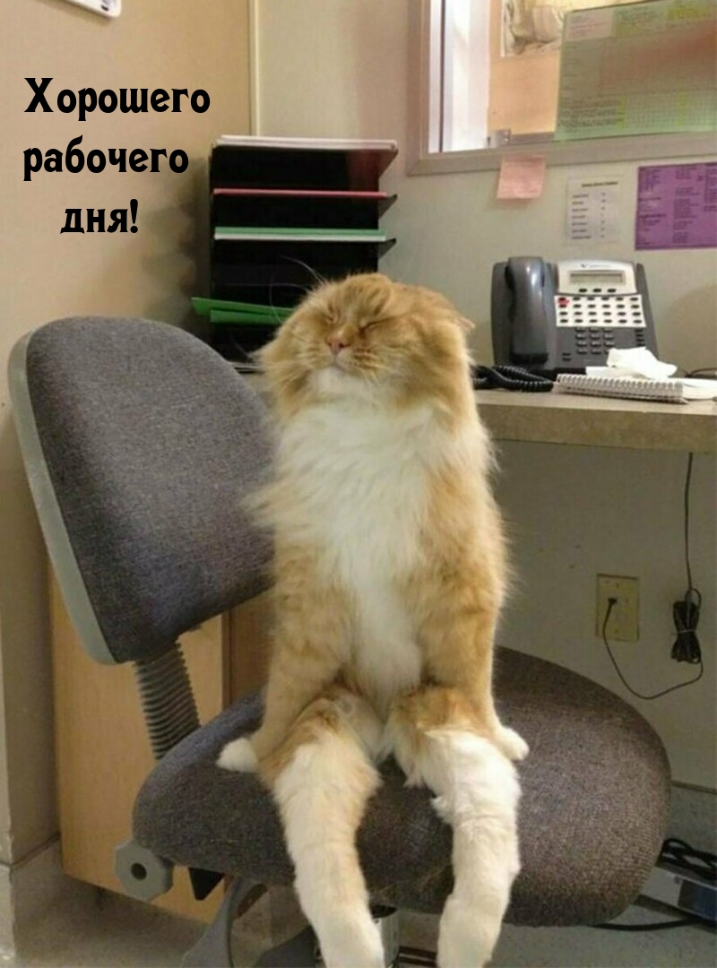 Хорошего рабочего дня!