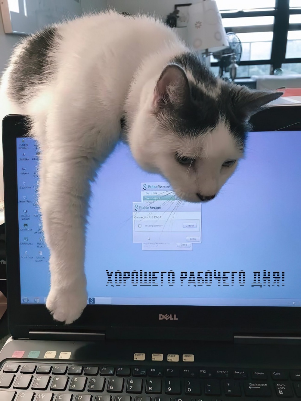 Хорошего рабочего дня!