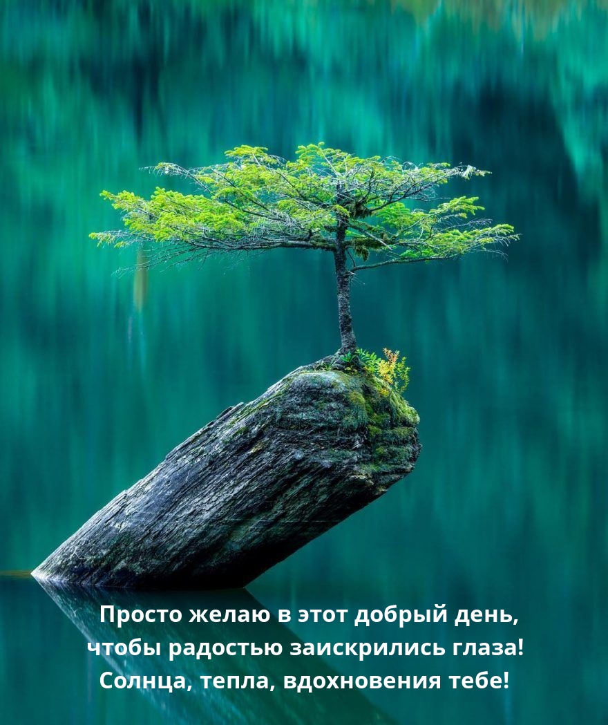 Просто желаю в этот добрый день, чтобы радостью заискрились глаза!