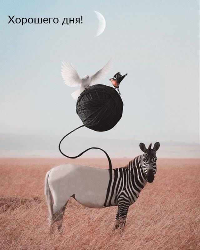 Хорошего дня!