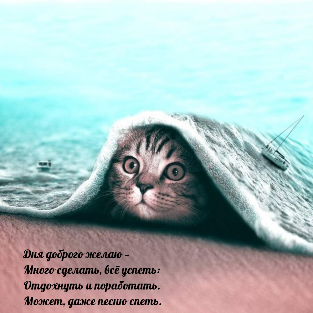 Дня доброго желаю — много сделать, всё успеть: отдохнуть и поработать.