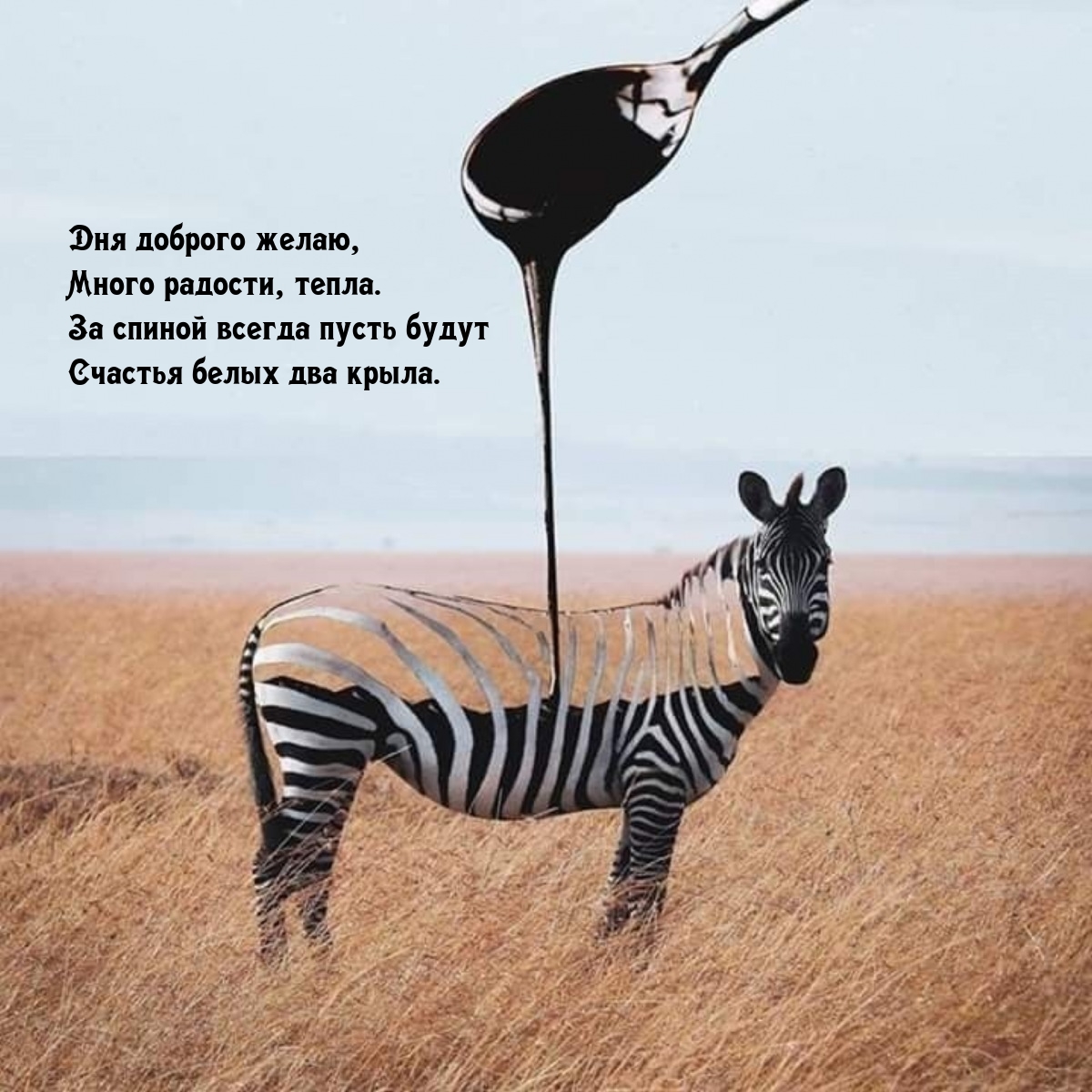 Дня доброго желаю, много радости, тепла.