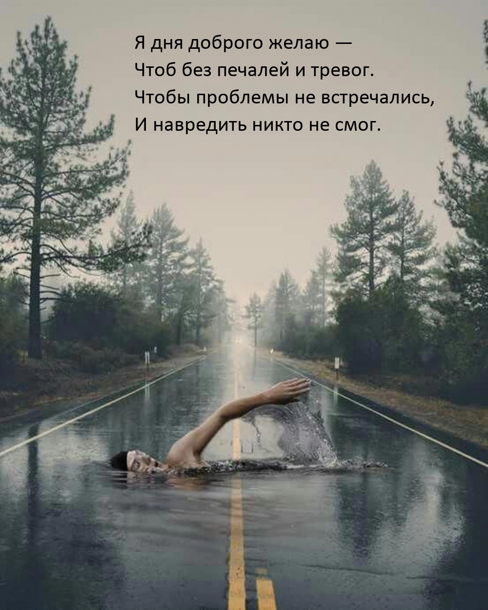 Я дня доброго желаю — чтоб без печалей и тревог.