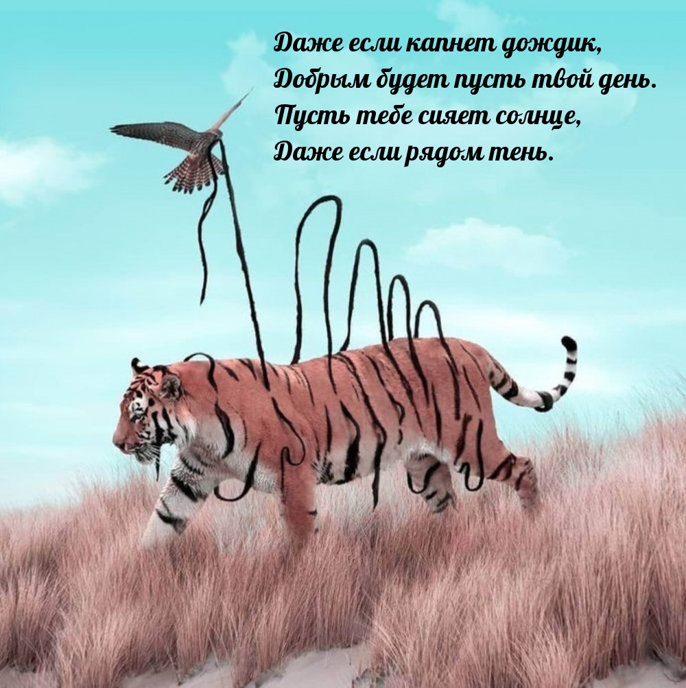 Даже если капнет дождик, добрым будет пусть твой день.
