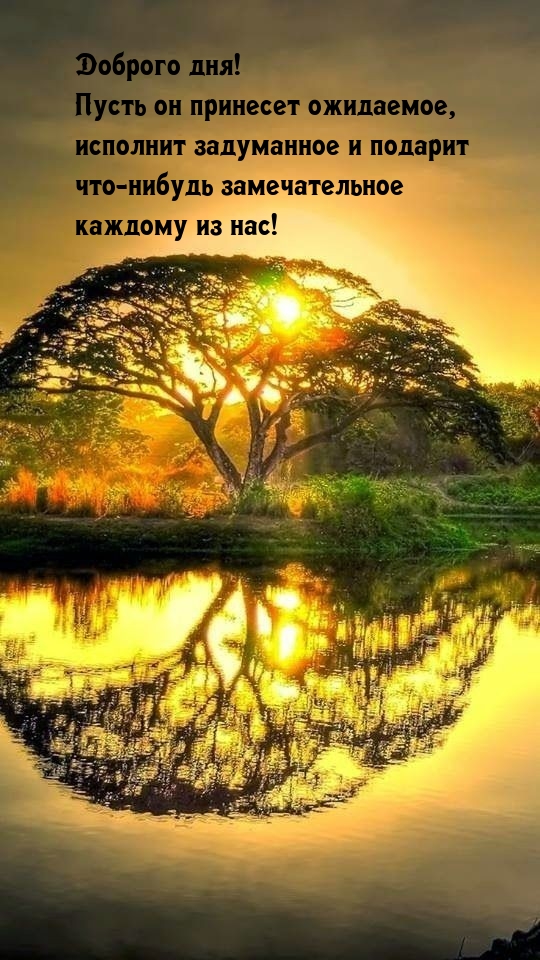 Доброго дня! Пусть он принесет ожидаемое