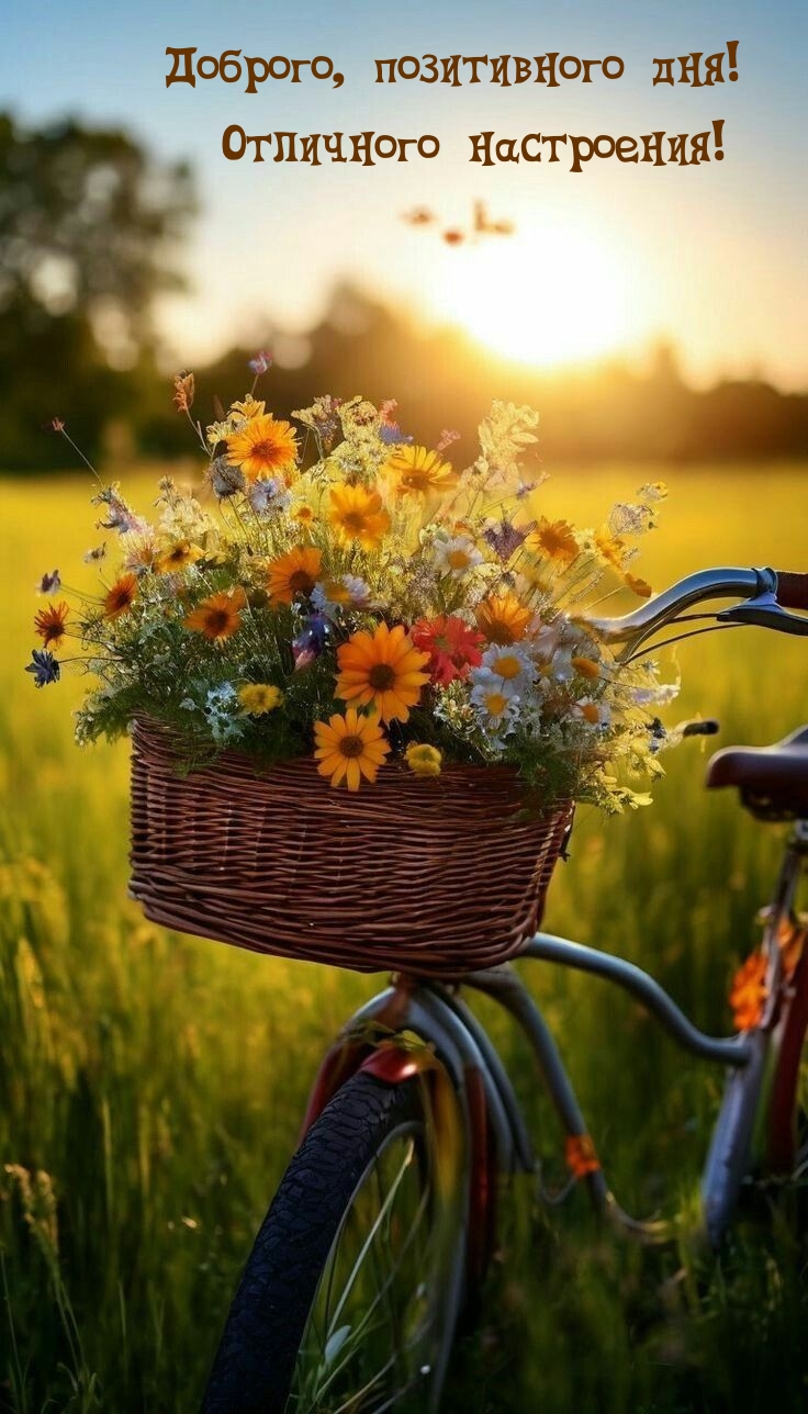 Доброго, позитивного дня! Отличного настроения!