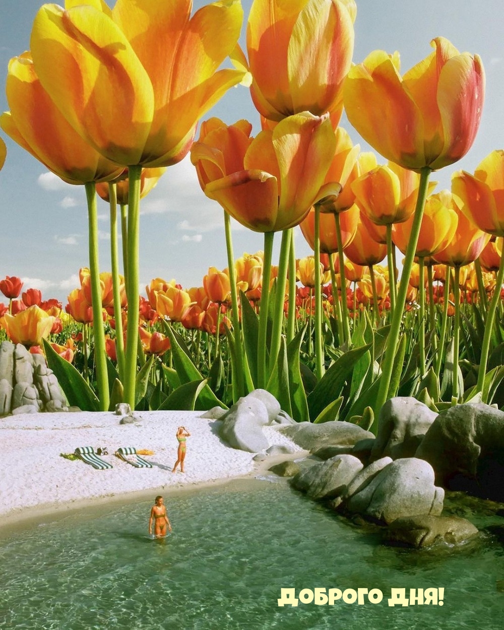 Доброго дня!