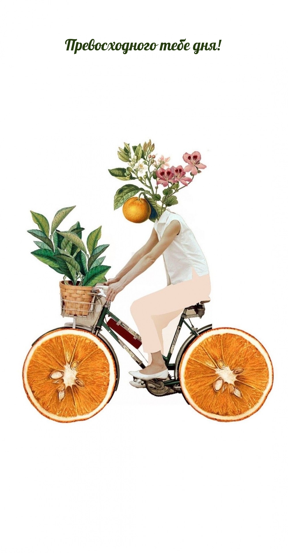 Превосходного тебе дня!