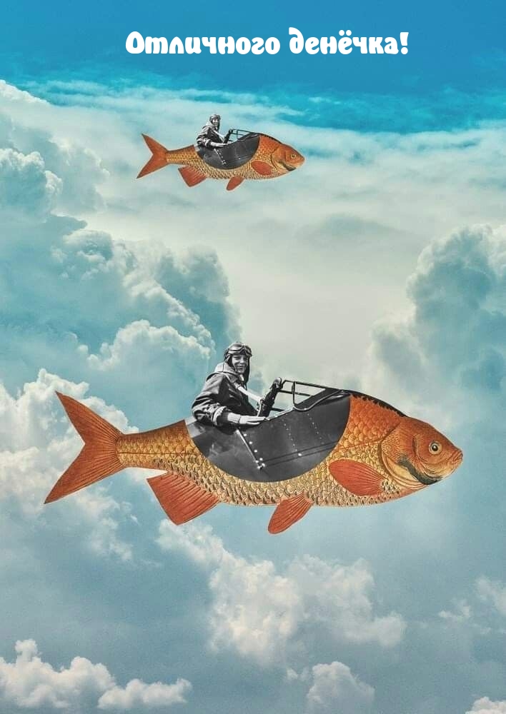 Отличного денёчка!