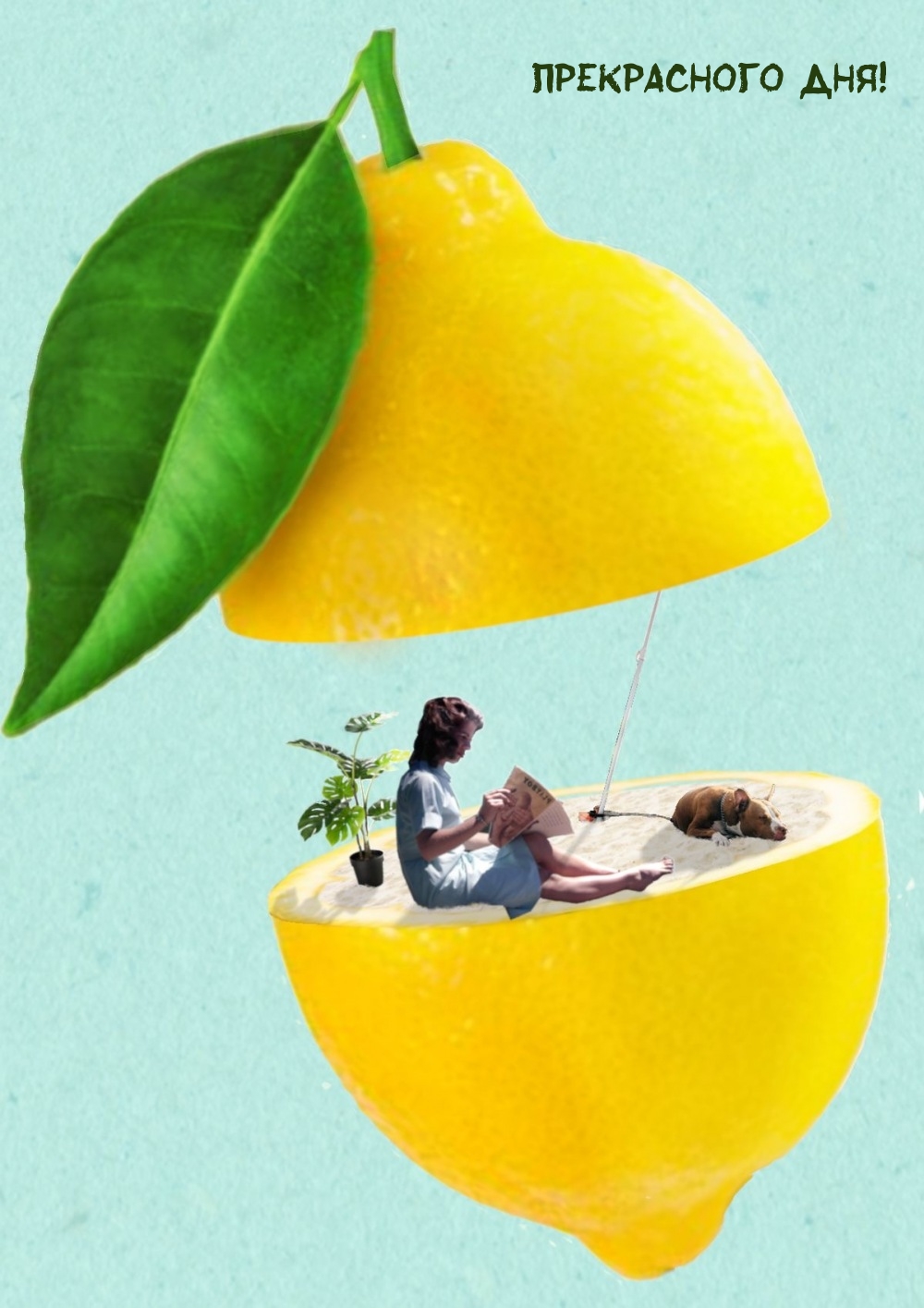 Прекрасного дня!