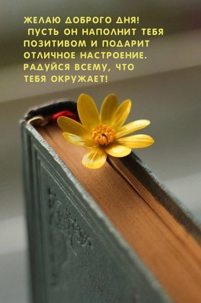Желаю доброго дня! Радуйся всему, что тебя окружает!
