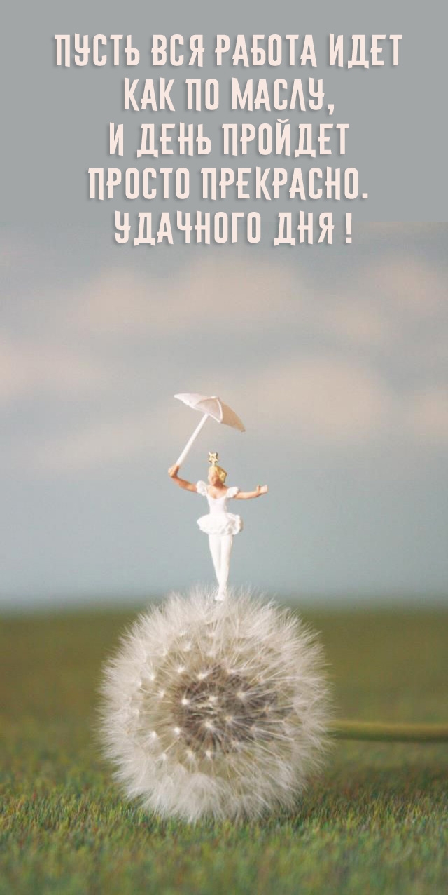 Удачного дня! Пусть вся работа идет как по маслу