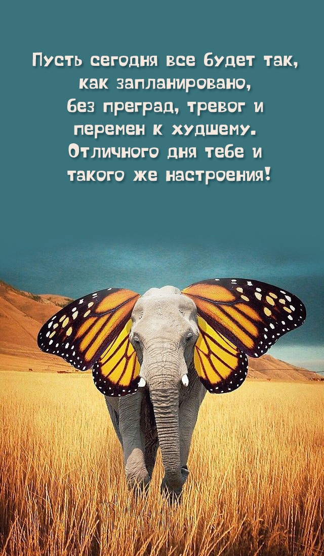 Пусть сегодня все будет так, как запланировано
