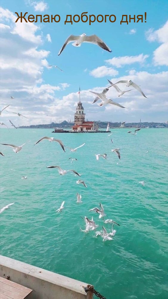 Желаю доброго дня!