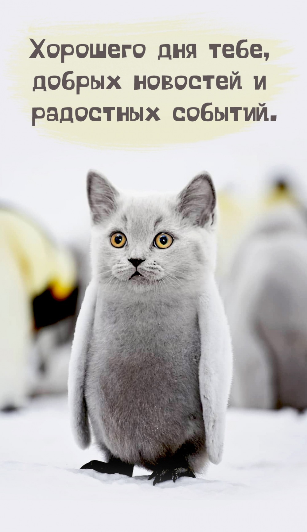 Хорошего дня тебе, добрых новостей и радостных событий.