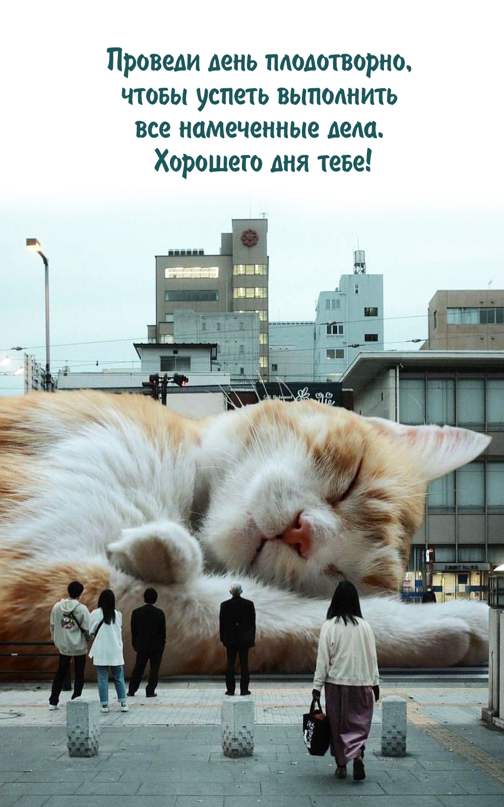 Хорошего дня тебе! Проведи день плодотворно