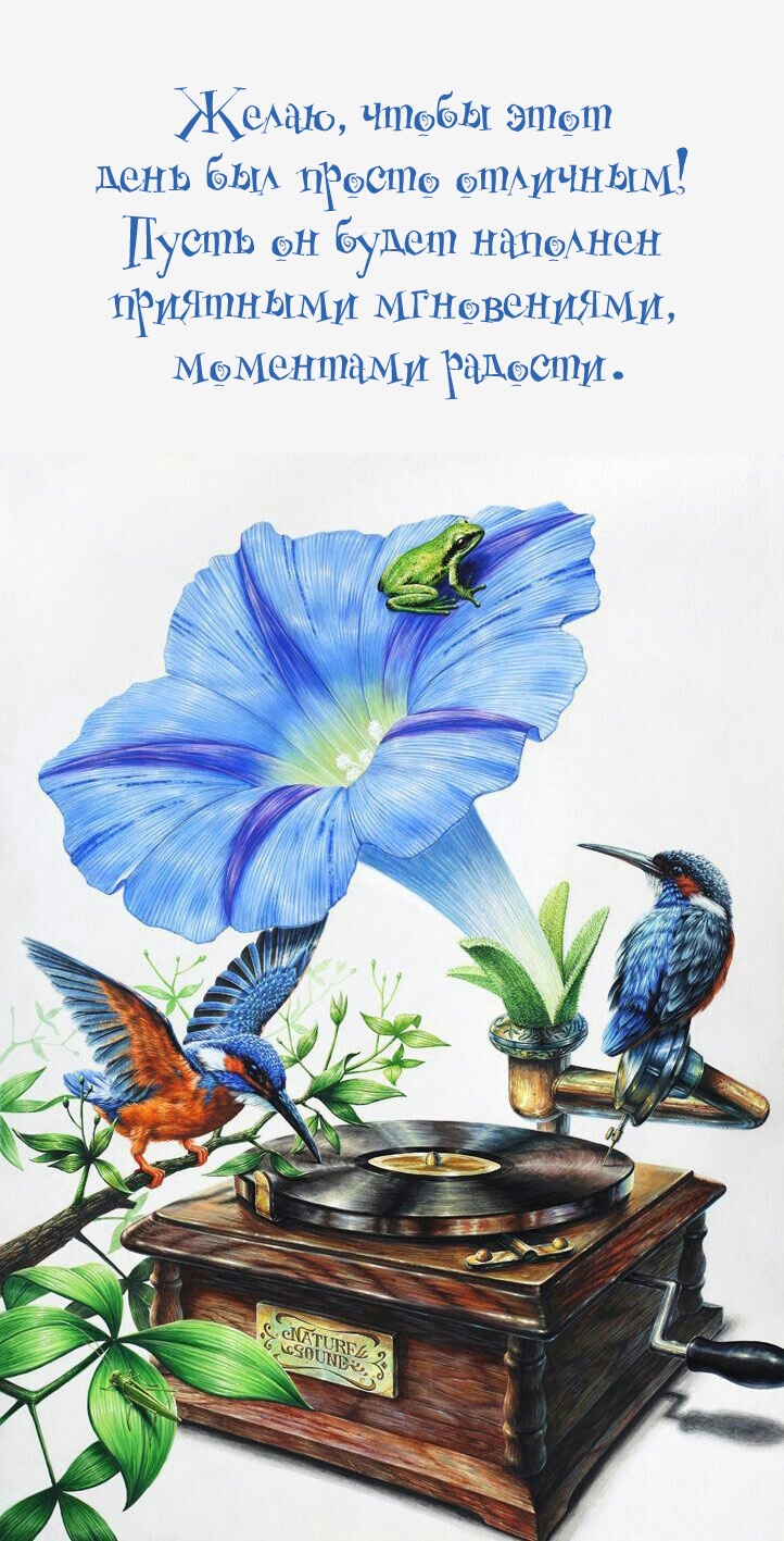 Желаю, чтобы этот день был просто отличным! 
