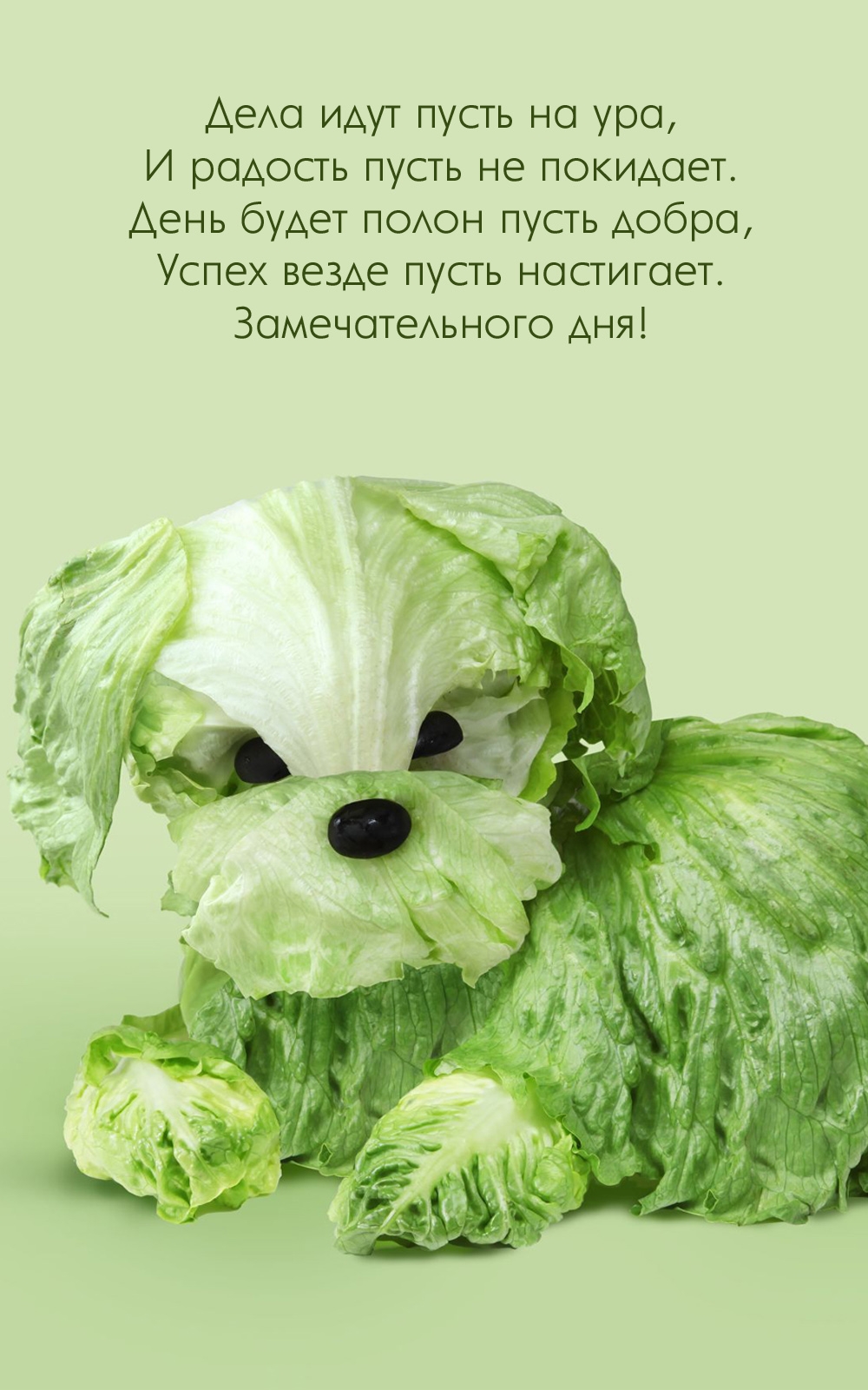Дела идут пусть на ура, и радость пусть не покидает.