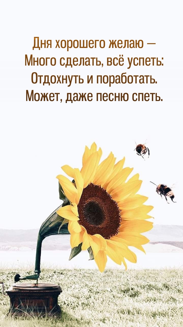 Дня хорошего желаю — много сделать, всё успеть