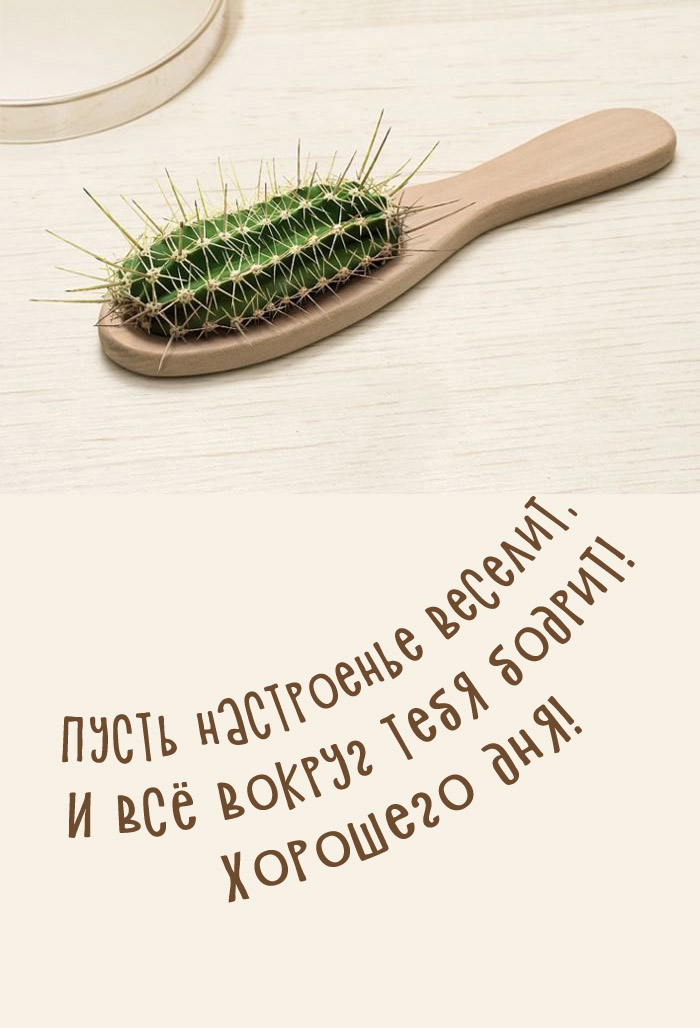 Пусть настроенье веселит, и всё вокруг тебя бодрит! Хорошего дня!