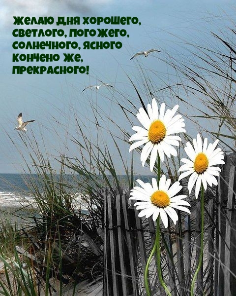 Желаю дня хорошего, светлого, погожего