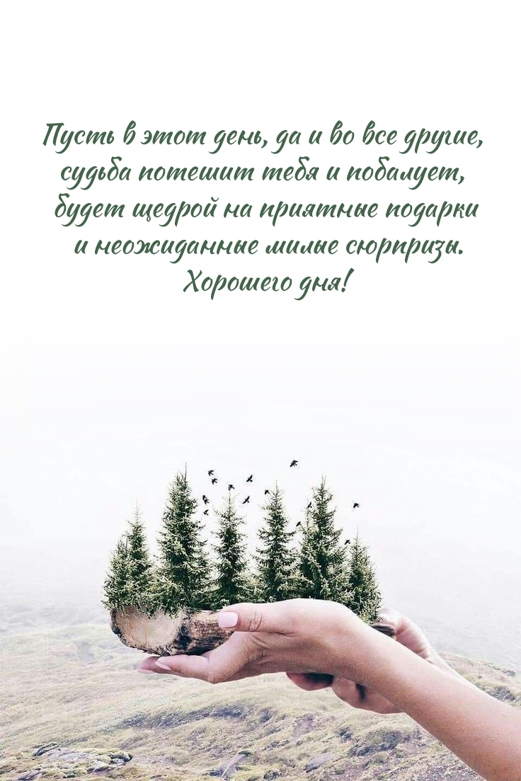 Пусть в этот день, да и во все другие, судьба потешит тебя и побалует