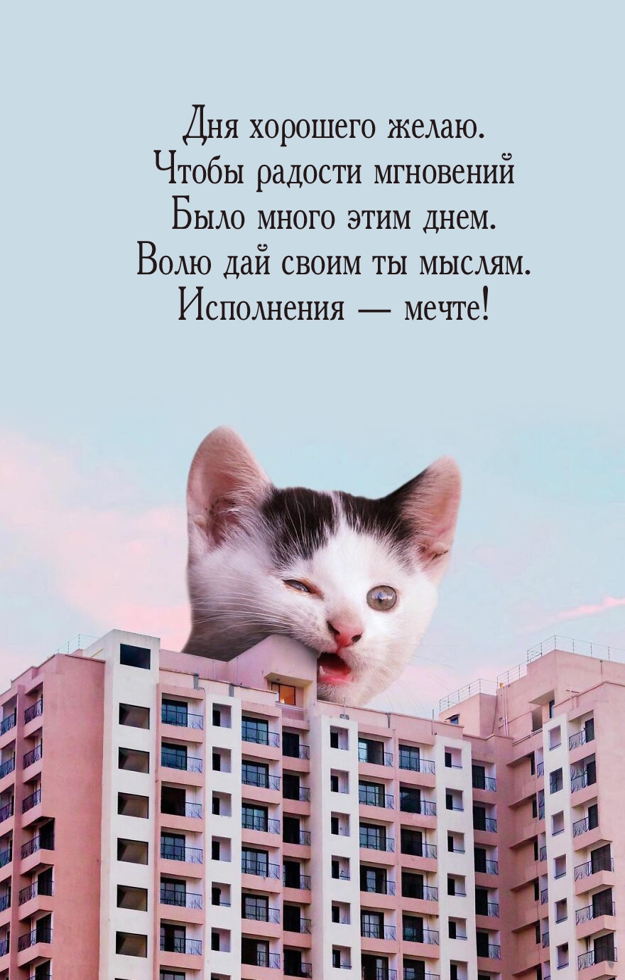 Дня хорошего желаю. Чтобы радости мгновений было много этим днем.