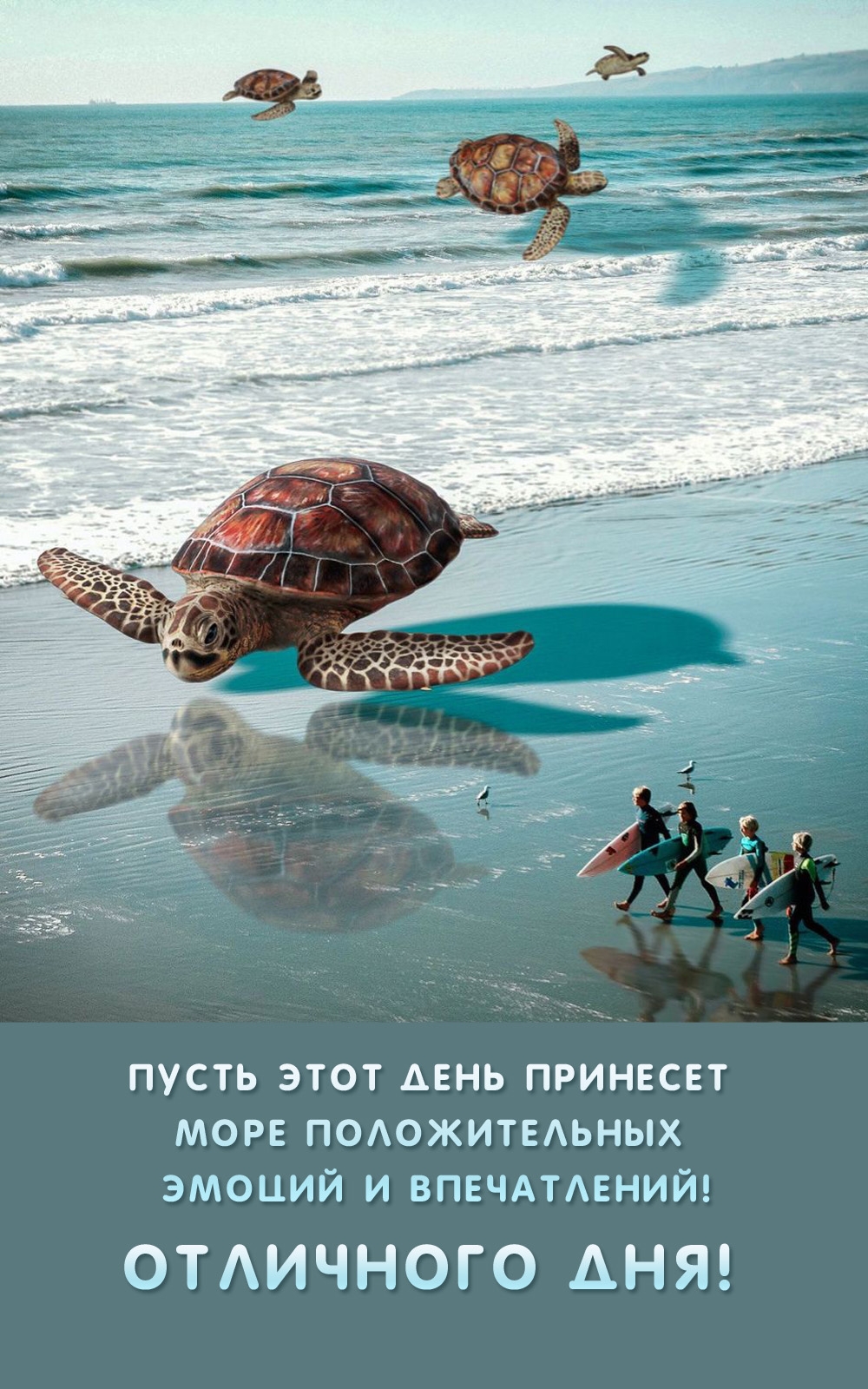 Пусть этот день принесет море положительных эмоций и впечатлений!