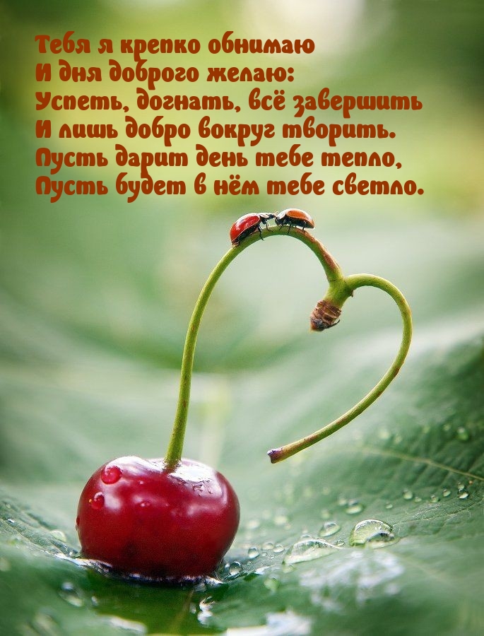 Тебя я крепко обнимаю и дня доброго желаю