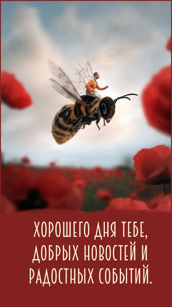 Хорошего дня тебе, добрых новостей и радостных событий.