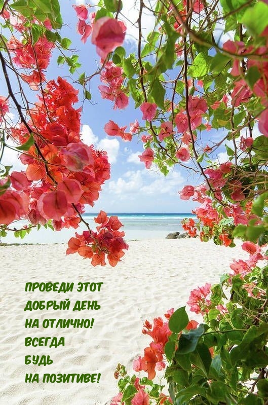 Проведи этот добрый день на отлично! Всегда будь на позитиве!