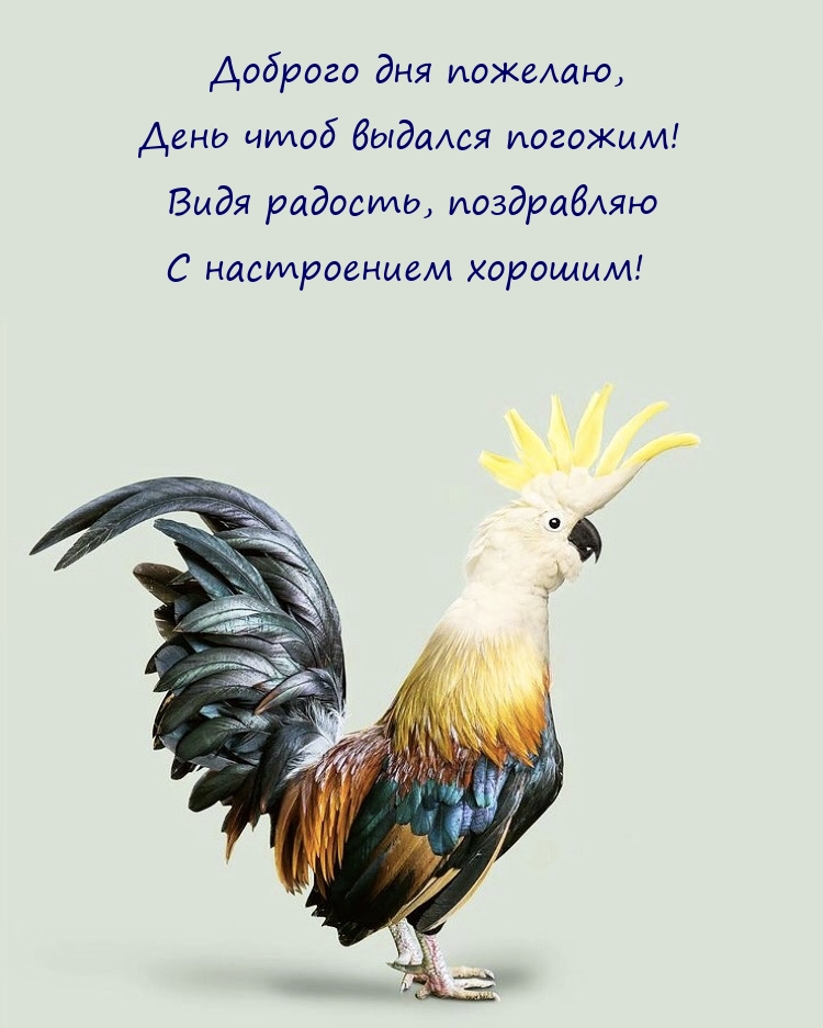 Доброго дня пожелаю, день чтоб выдался погожим!