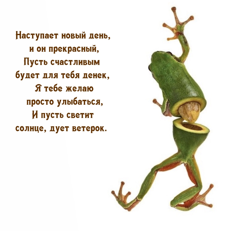 Наступает новый день, и он прекрасный