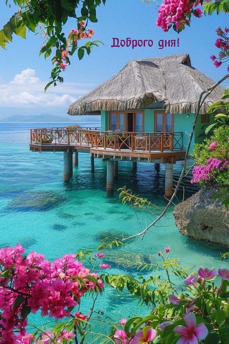 Доброго дня!