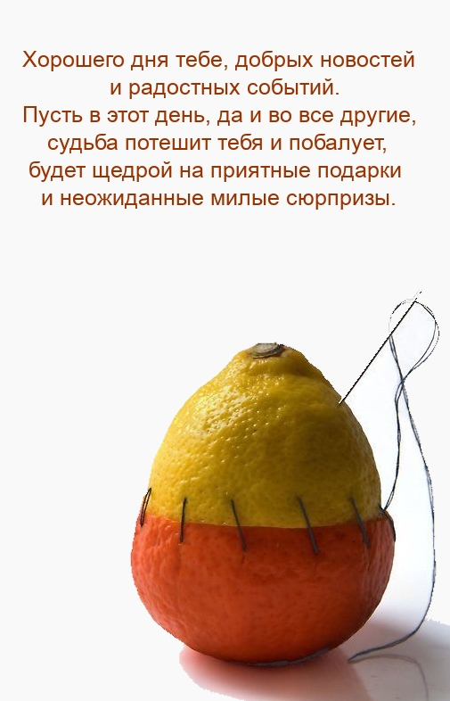 Хорошего дня тебе, добрых новостей и радостных событий. 