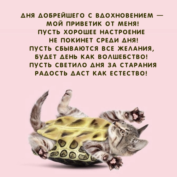 Дня добрейшего с вдохновением — мой приветик от меня!