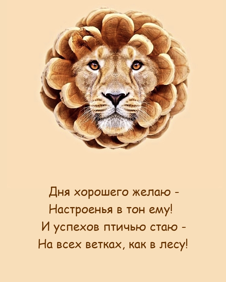 Дня хорошего желаю - Настроенья в тон ему!