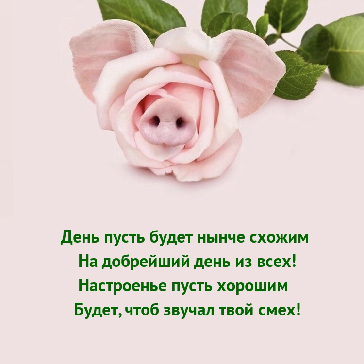 День пусть будет нынче схожим на добрейший день из всех!