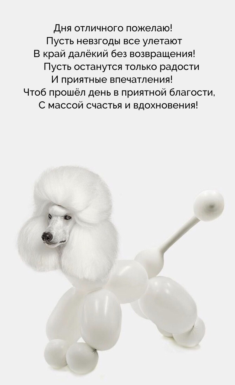 Дня отличного пожелаю! Чтоб прошёл день в приятной благости