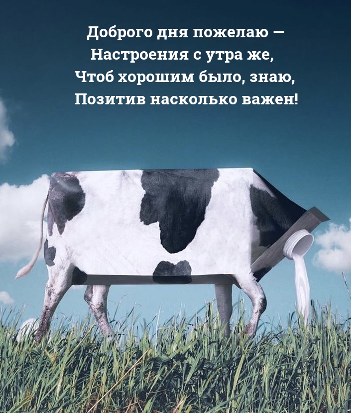 Доброго дня пожелаю — настроения с утра же, чтоб хорошим было