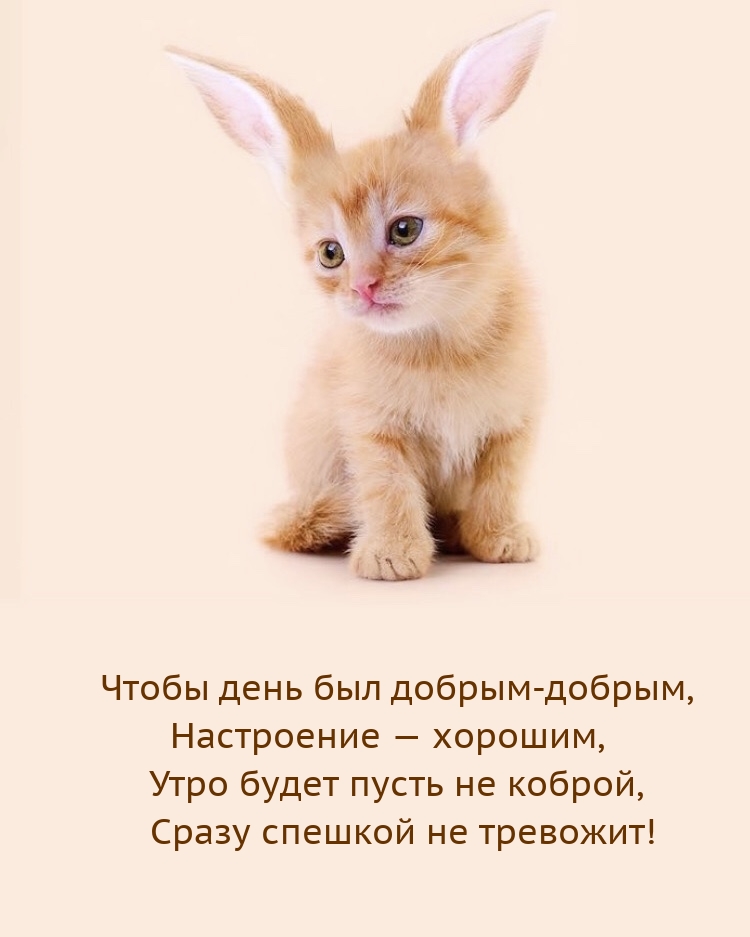 Чтобы день был добрым-добрым, настроение — хорошим