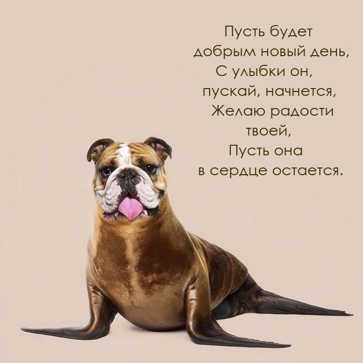 Пусть будет добрым новый день, с улыбки он, пускай, начнется