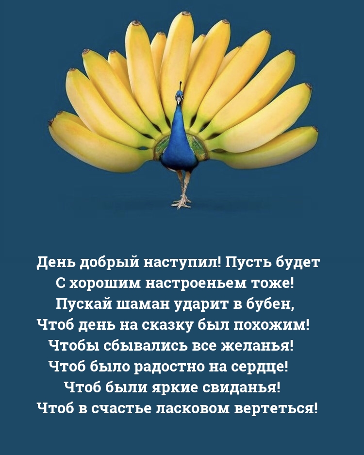 День добрый наступил! Пусть будет с хорошим настроеньем тоже!