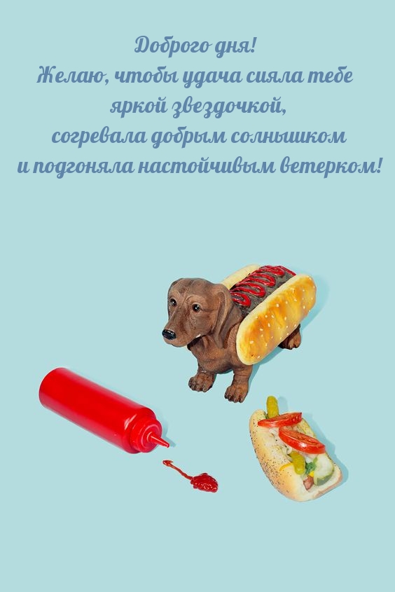 Доброго дня! Желаю, чтобы удача сияла тебе яркой звездочкой