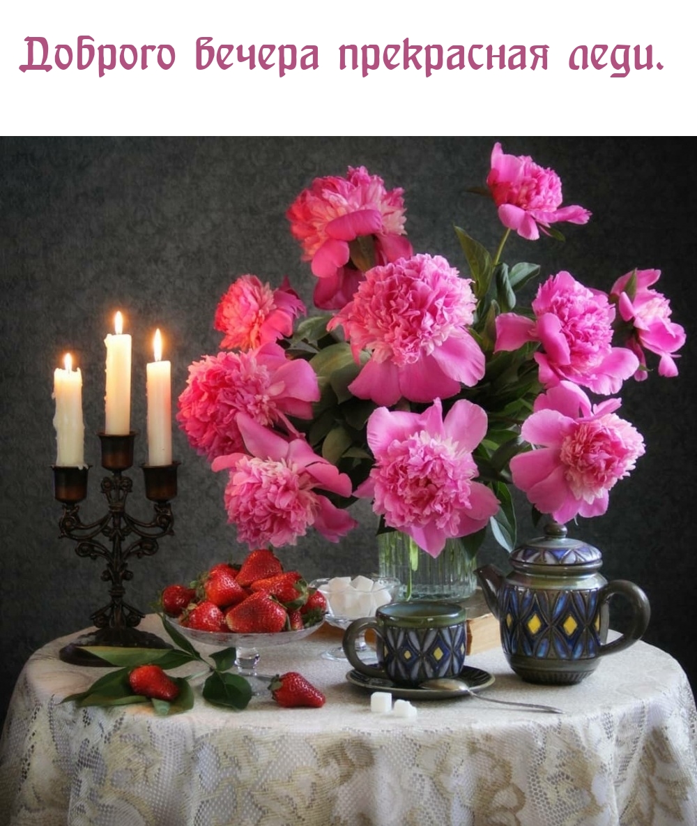 Доброго вечера прекрасная леди.