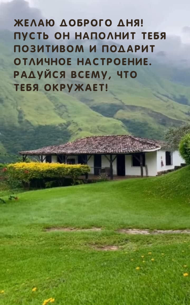 Желаю доброго дня! Пусть он наполнит тебя позитивом и подарит