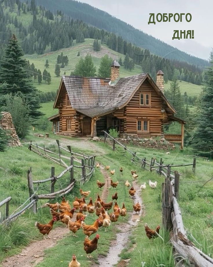 Доброго дня!