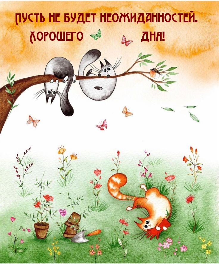 Пусть не будет неожиданностей. Хорошего дня!