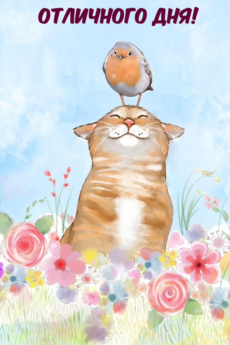 Отличного дня!