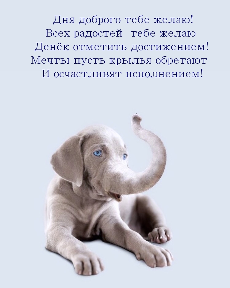 Дня доброго тебе желаю! Всех радостей тебе желаю